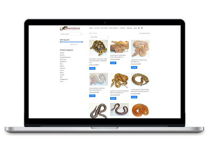 open source auction software